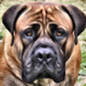 Meet your Posher, Robin